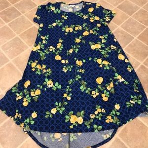LuLaRoe XL Dress